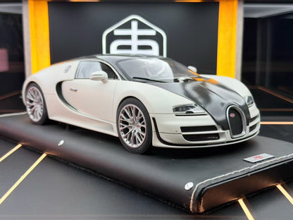 MR 1:18 Bugatti Veyron SS Panda Colorway DDJ016 
Condition: Average