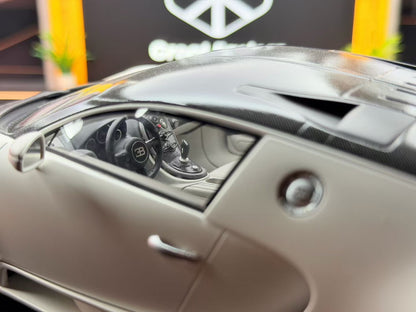 MR 1:18 Bugatti Veyron SS Panda Colorway DDJ016 
Condition: Average
