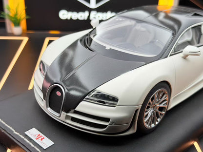 MR 1:18 Bugatti Veyron SS Panda Colorway DDJ016 
Condition: Average